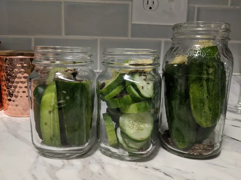 What Are All the Different Types of Pickles? The Savvy Pickle